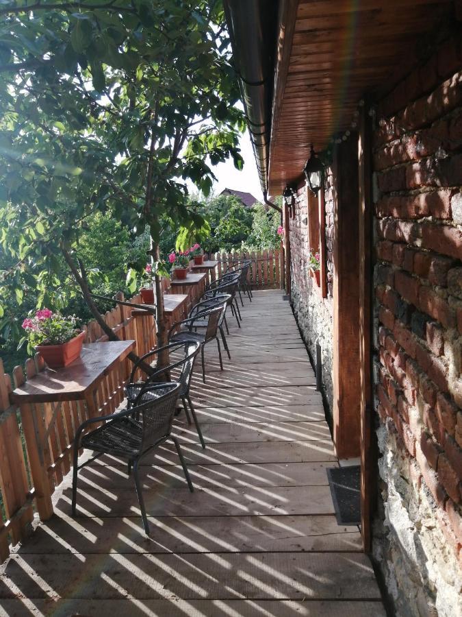 Hotel Borlova /Muntele Mic Zewnętrze zdjęcie
