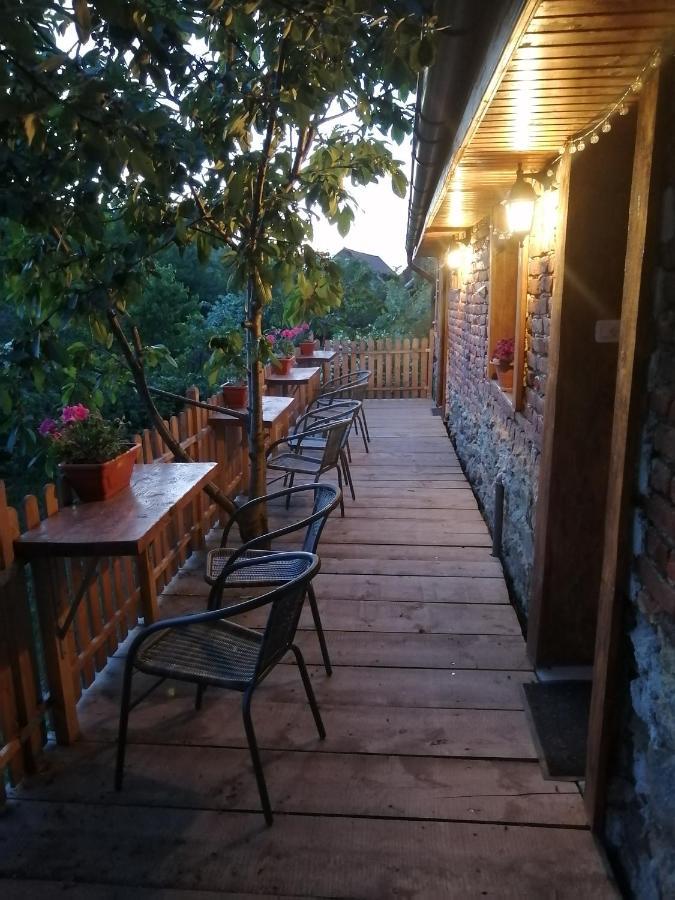 Hotel Borlova /Muntele Mic Zewnętrze zdjęcie