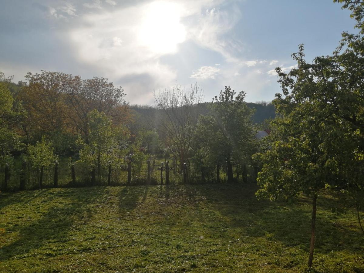 Hotel Borlova /Muntele Mic Zewnętrze zdjęcie