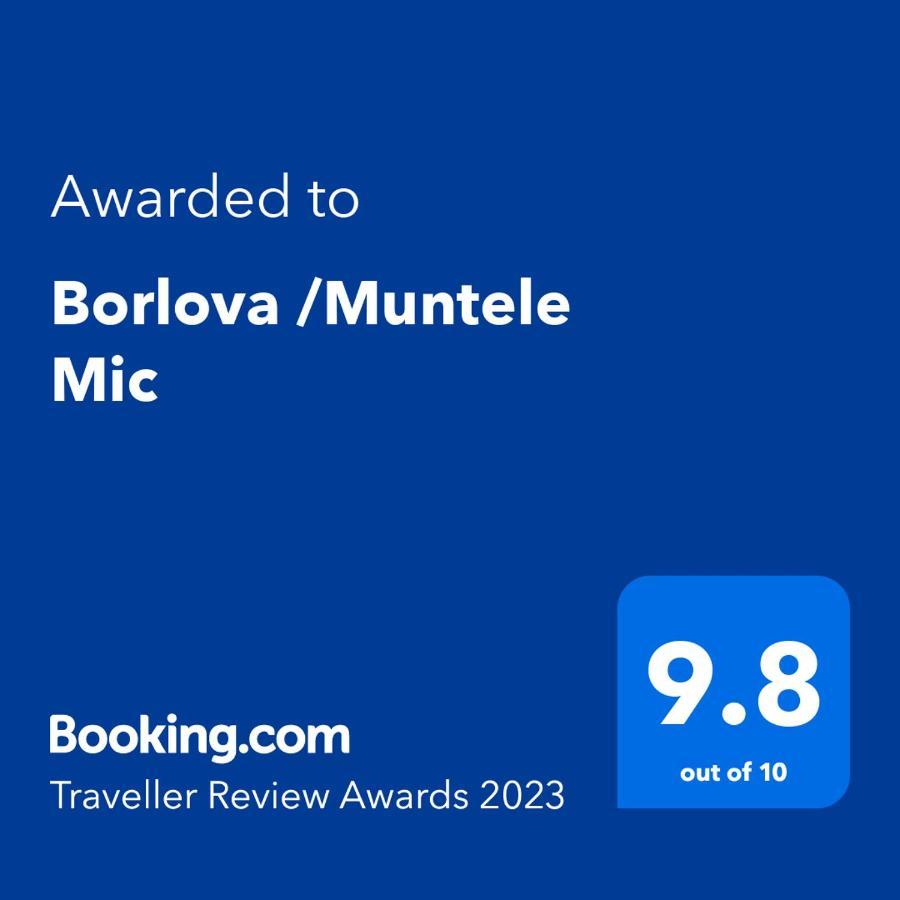 Hotel Borlova /Muntele Mic Zewnętrze zdjęcie