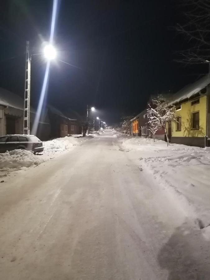 Hotel Borlova /Muntele Mic Zewnętrze zdjęcie