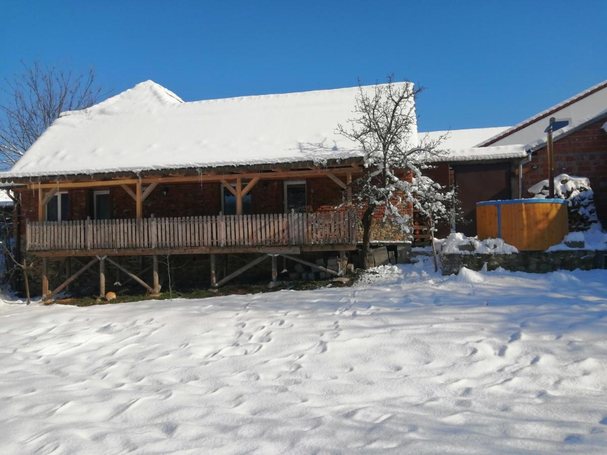 Hotel Borlova /Muntele Mic Zewnętrze zdjęcie