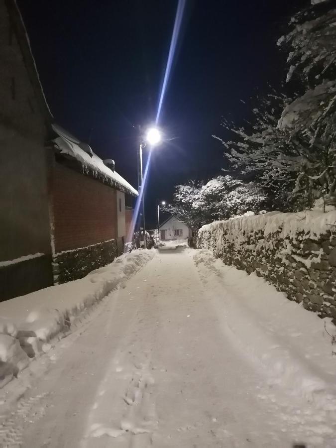 Hotel Borlova /Muntele Mic Zewnętrze zdjęcie